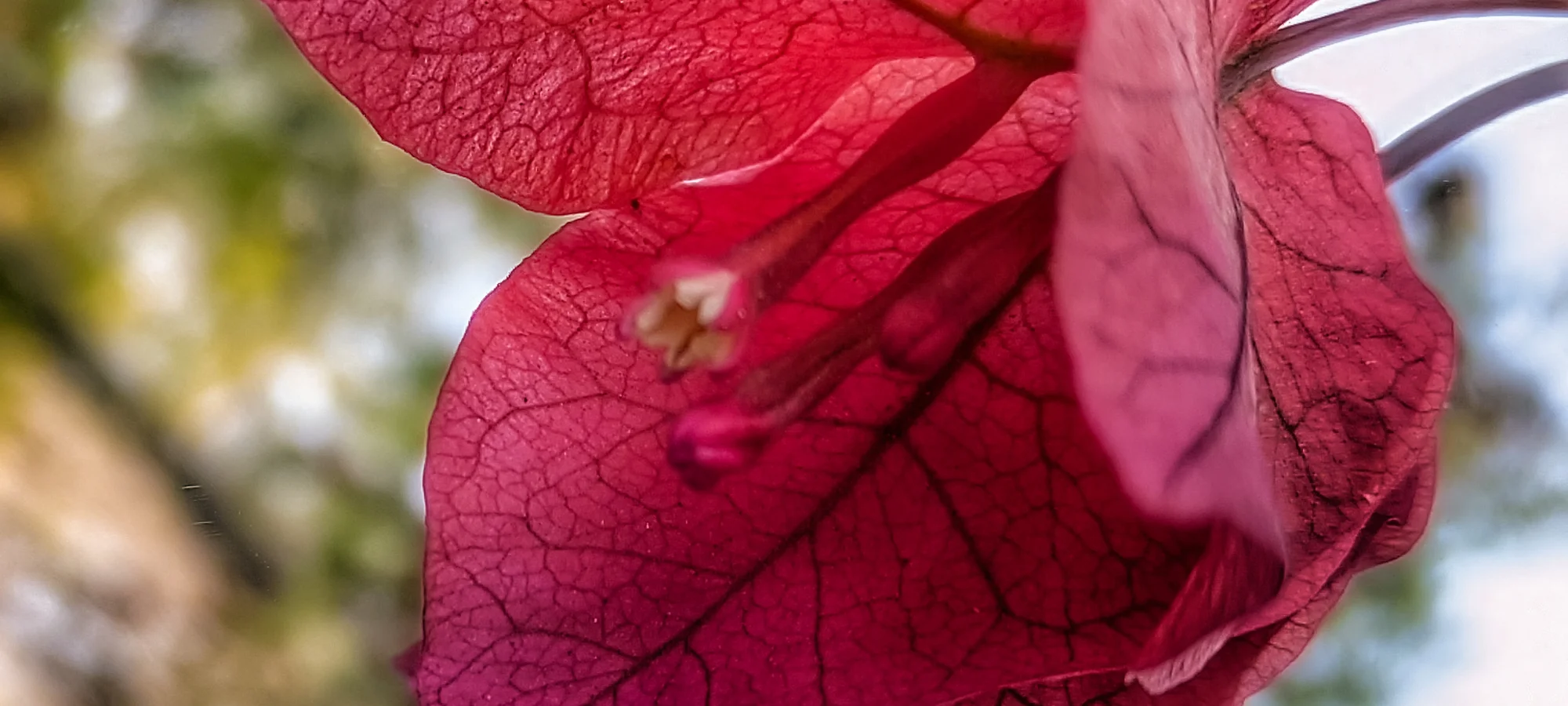 FUEGO-EMOTION-SLIDER