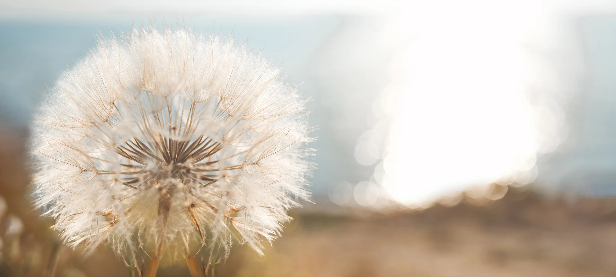 BRISA-EMOTION-SLIDER