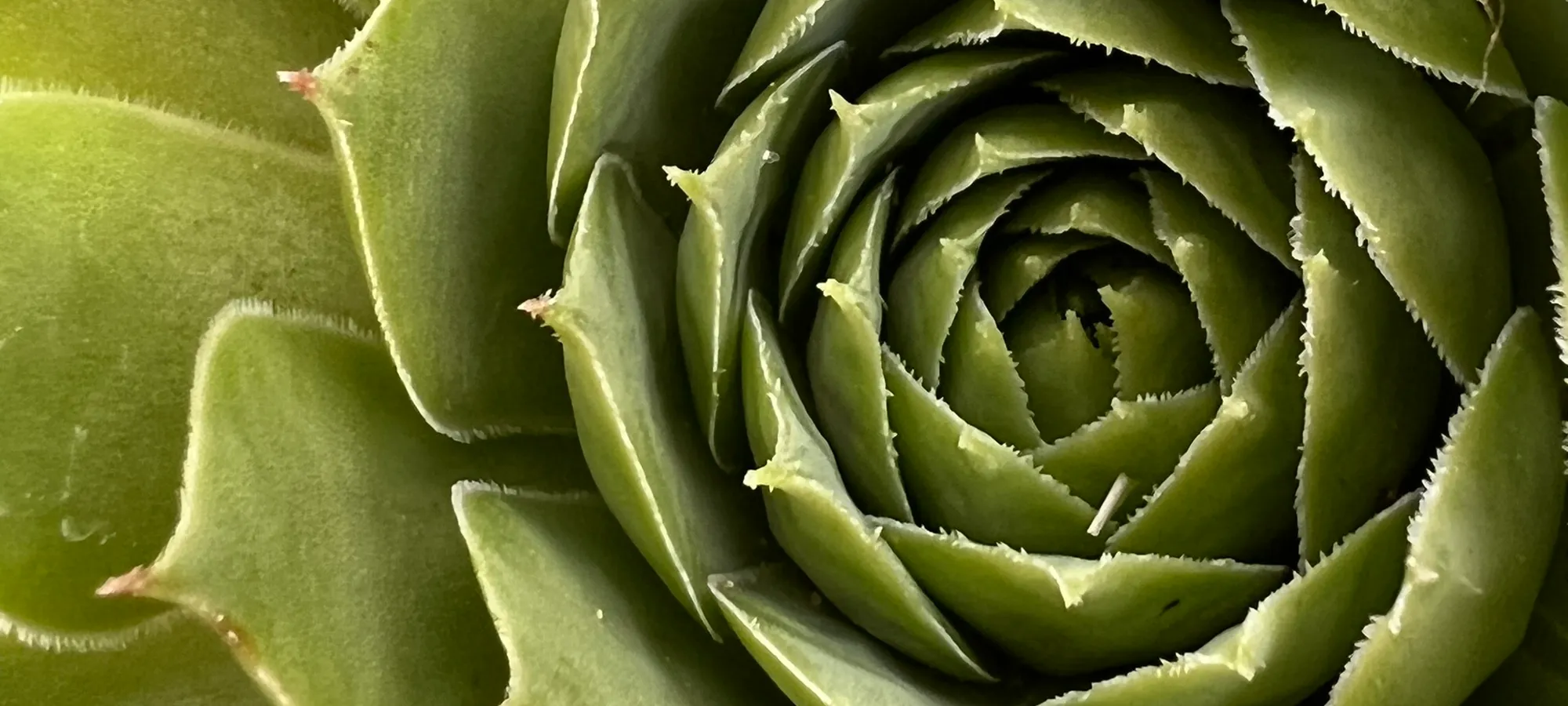 TIERRA EMOTION-SLIDER