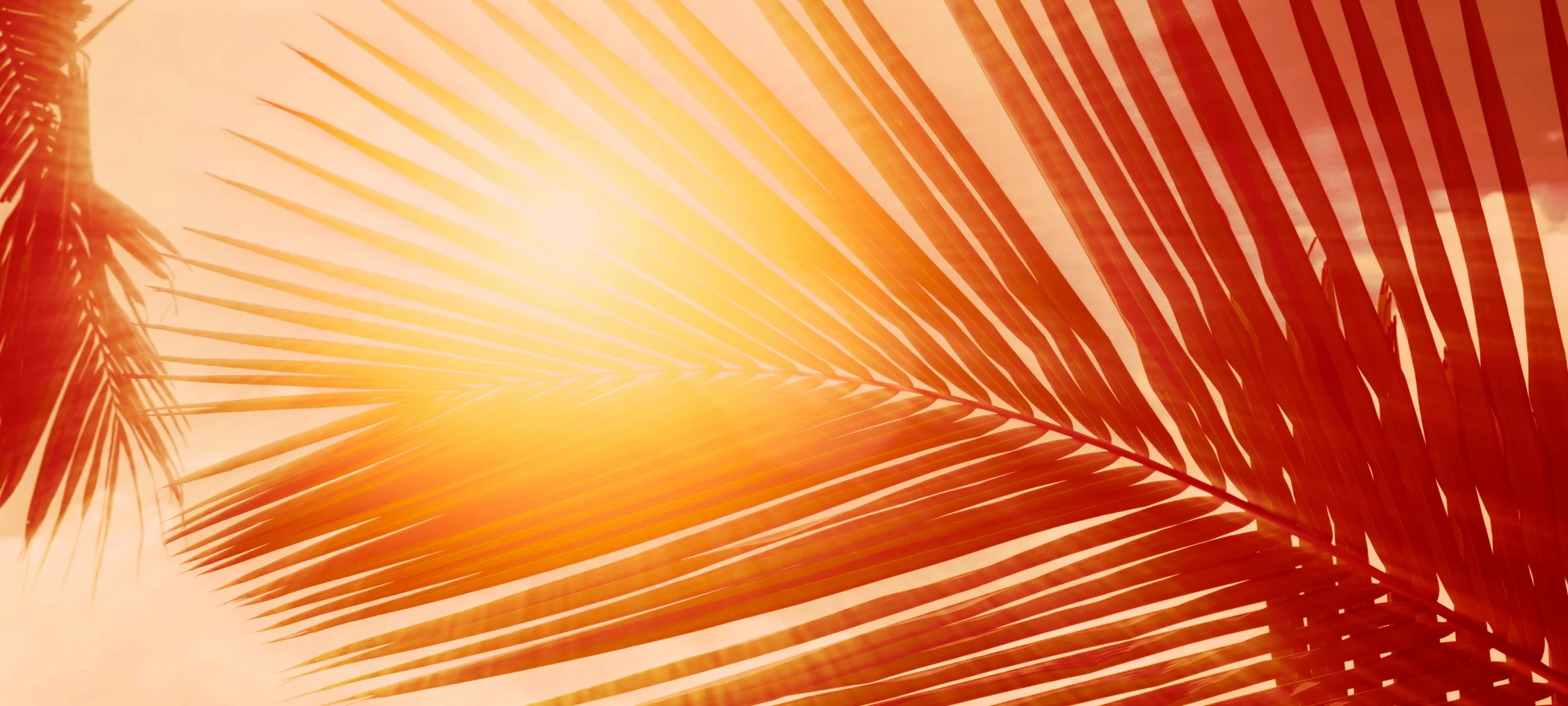 FUEGO-EMOTION-SLIDER